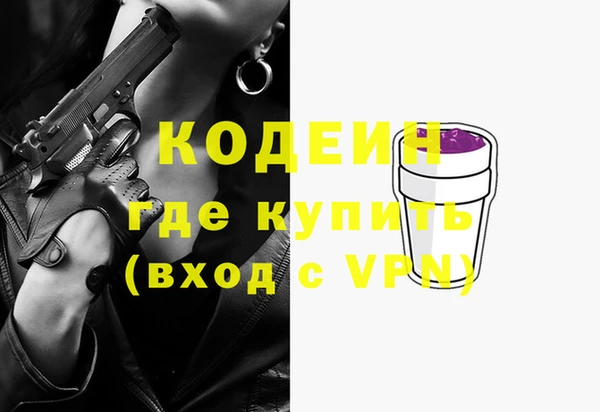 СК Коряжма