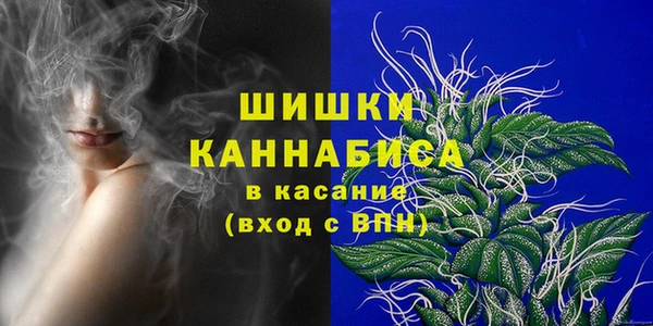СК Коряжма