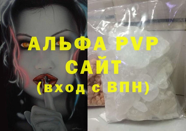 СК Коряжма