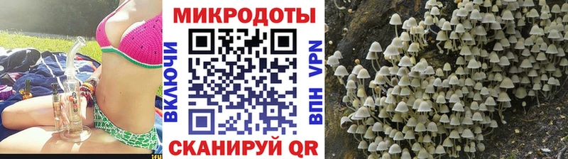 Купить закладки  Светлоград  Псилоцибиновые грибы Cubensis 